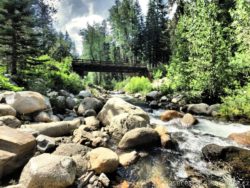 Kemp Cold Springs, Mineral King, Sequoia