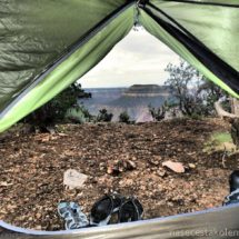 Grand Canyon z parku Kaibab National Forest