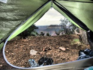 Grand Canyon z parku Kaibab National Forest