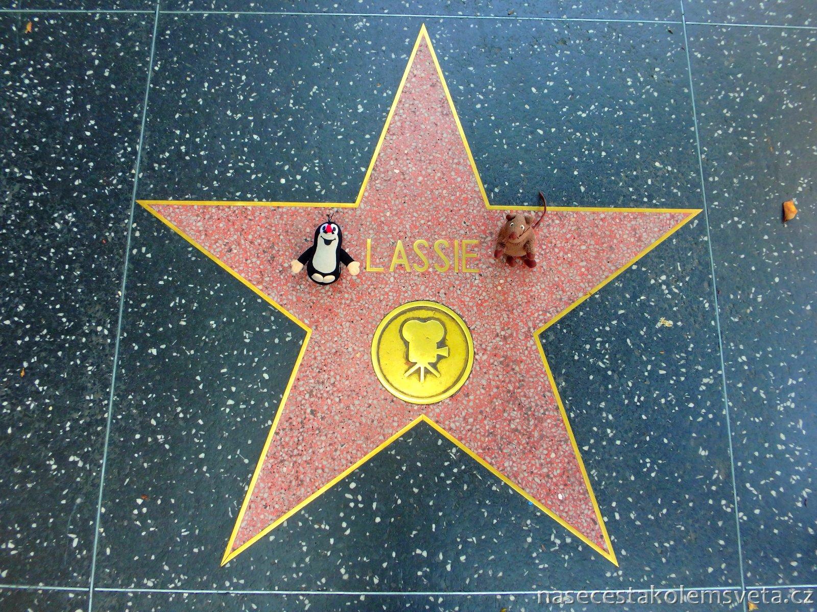 Звезда голливуда мстители 9 букв. Голливудская «аллея славы» Лос-Анджелес. Голливудские звезды. Звезда на аллее славы. Звезды Голливуда из картона.