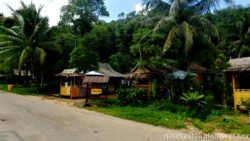 Ko Lanta venkov