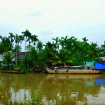 Delta Mekongu