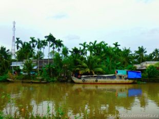 Delta Mekongu