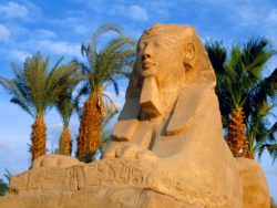 Sfinga Egypt