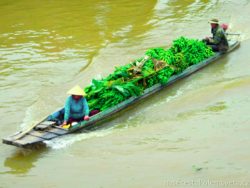 loď s banány na řece Mekong